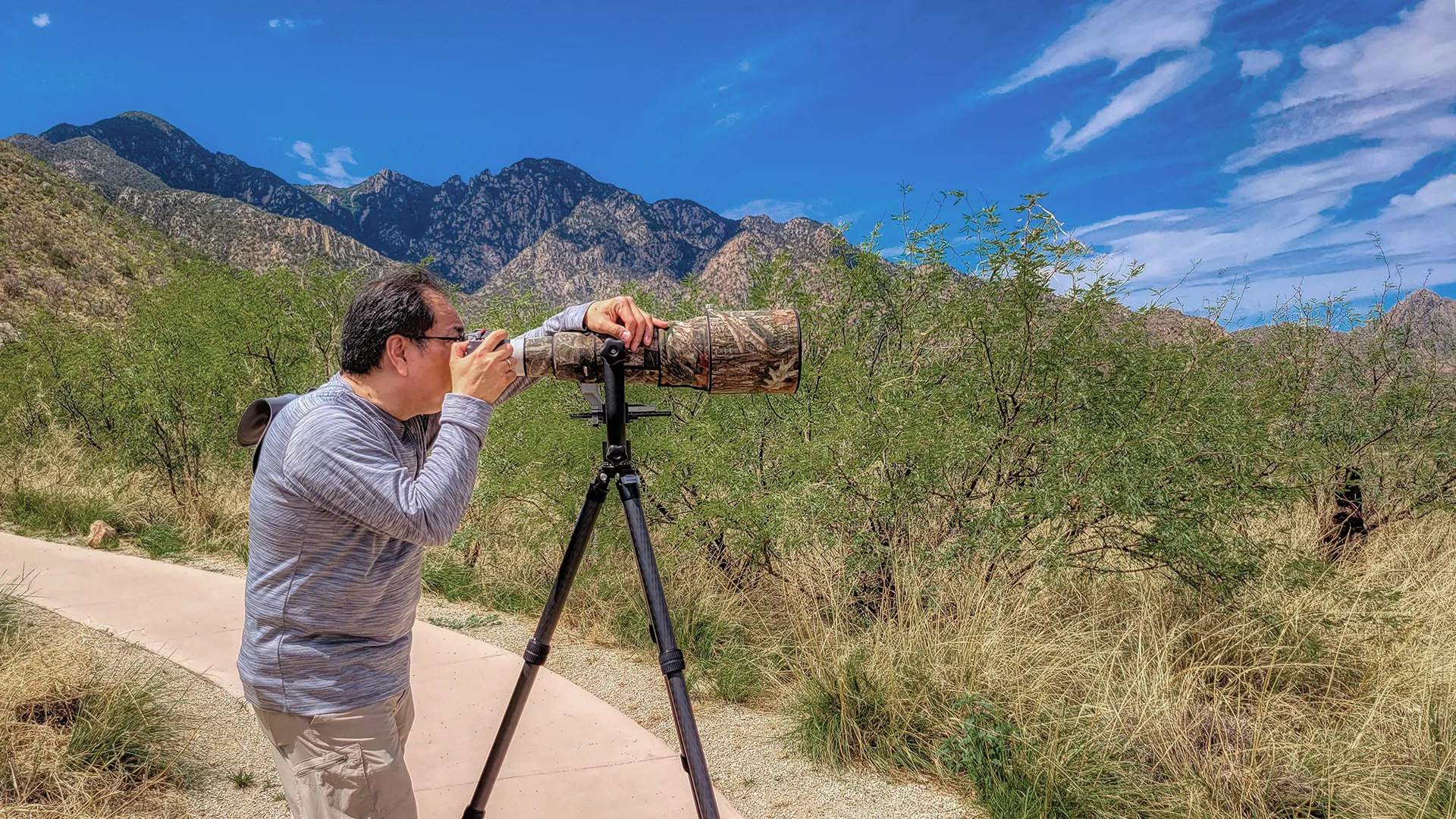 In the field, Arizona